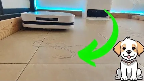 Ecovacs deebot X5 Pro OMNI VS hair 🧑‍🦰🐕🐱